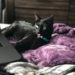 Meet your Posher, Ailish